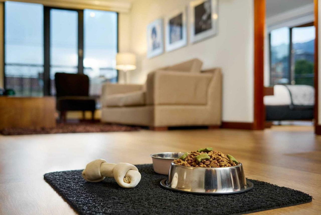 בוגוטה Hotel Celebrities Suites מראה חיצוני תמונה
